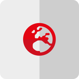 Icon Globus